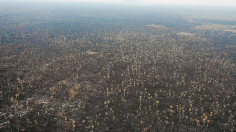 Aerial view of damage caused by wildfires in Otuquis National Park, in the Pantanal ecoregion of southeastern Bolivia, on August 26, 2019.  Like his far right rival President Jair Bolsonaro in neigboring Brazil, Bolivia's leftist leader Evo Morales is facing mounting fury from environmental groups over voracious wildfires in his own country. While the Amazon blazes have attracted worldwide attention, the blazes in Bolivia have raged largely unchecked over the past month, devastating more than 9,500 square kilometers (3,600 square miles) of forest and grassland. / AFP / Pablo COZZAGLIO
