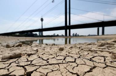 A dried river bed of the Rhine river in Duesseldorf, Germany. The water levels in the rivers are falling sharply. Germany experienced a heat wave this summer with temperatures up to 42 degrees Celsius. EPA