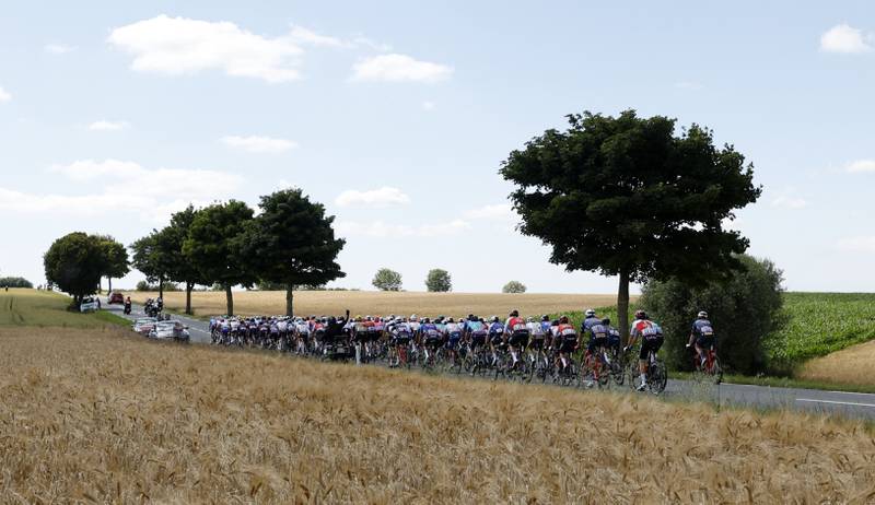 General view of the peloton during Stage 4. Reuters