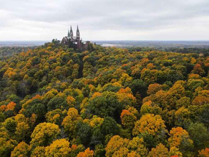 Trees around the Holy Hill Basilica in the US state of Wisconsin begin to change colour. AP