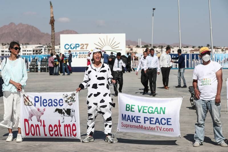 Vegans - one dressed as a cow - protest against the killing of animals for food, in Sharm El Sheikh. EPA