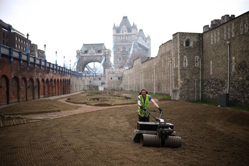 A gardener sows seeds into the moat surrounding the Tower of London on Wednesday, that will bloom into a 'Superbloom' display celebrating the Queen's Platinum Jubilee later this year. Reuters