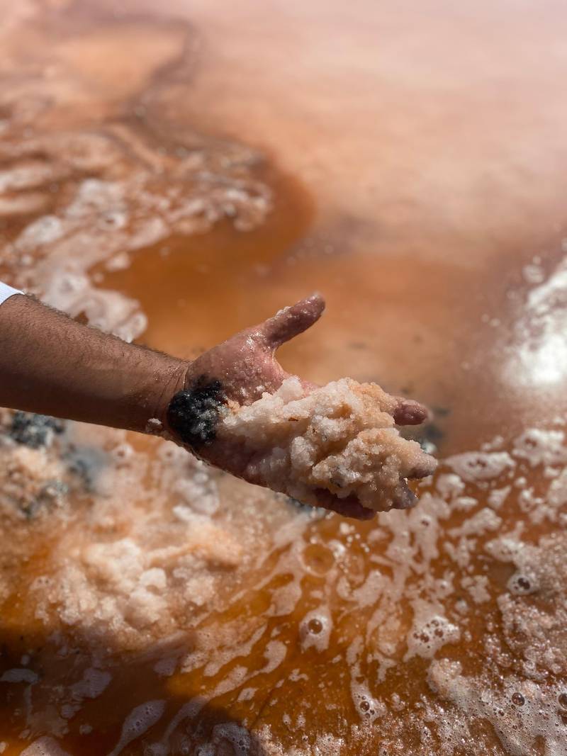 A handful of salt crystals scooped from the pink lake in Ras Al Khaimah. Kelly Clarke / The National 