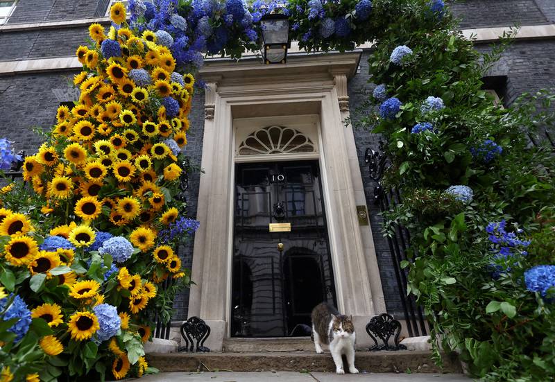 Larry the cat stands under a floral display to mark Ukraine's Independence Day outside No 10 Downing Street, central London. Reuters