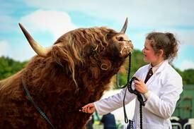 Today's best photos: from Miss Cholita Pacena 2022 to a well-groomed Highland bull
