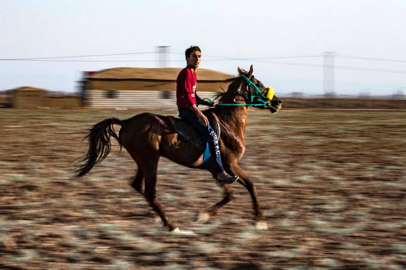 A man trains his steed at a farm for purebred Arabian horses in the countryside of Syria's north-eastern city of Qamishli.