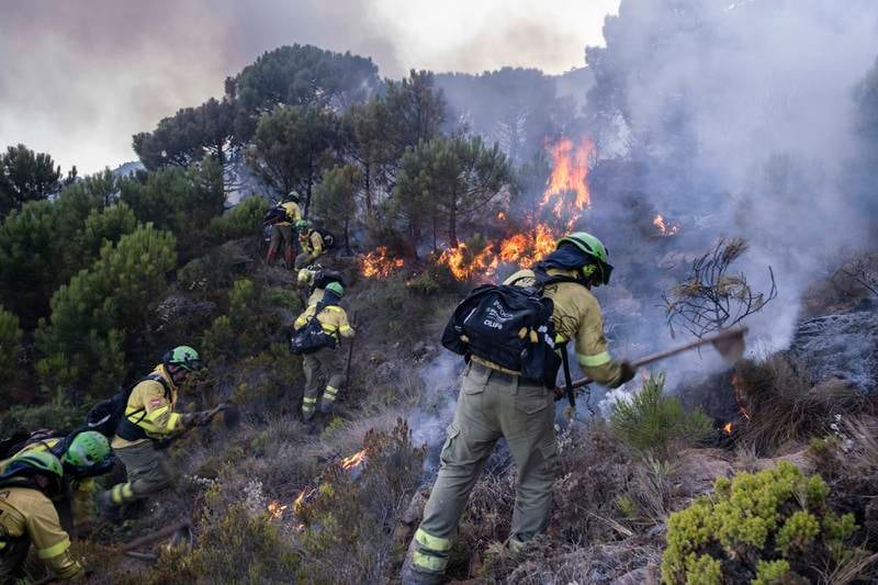 Firefighters work to put out a wildfire near the town of Jubrique, in province of Malaga, Spain. AP Photo