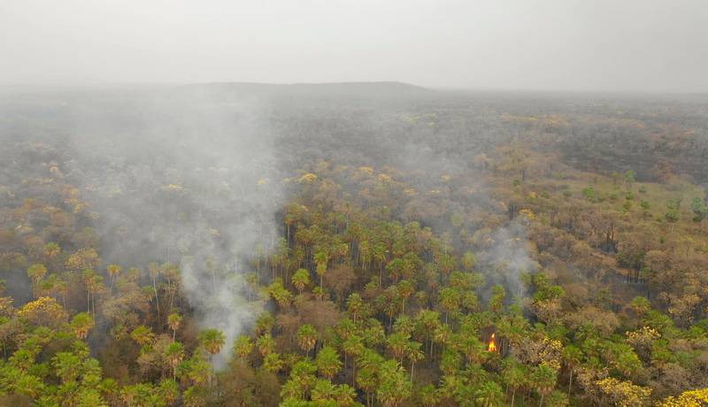 In this aerial view smokes rises from forest in Otuquis National Park, in the Pantanal ecoregion of southeastern Bolivia, on August 26, 2019.  Like his far right rival President Jair Bolsonaro in neigboring Brazil, Bolivia's leftist leader Evo Morales is facing mounting fury from environmental groups over voracious wildfires in his own country. While the Amazon blazes have attracted worldwide attention, the blazes in Bolivia have raged largely unchecked over the past month, devastating more than 9,500 square kilometers (3,600 square miles) of forest and grassland. / AFP / Pablo COZZAGLIO
