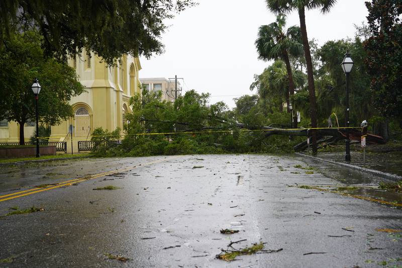 A downed tree blocks a roadway in Charleston as Hurricane Ian makes another landfall. Photo: Willy Lowry / The National