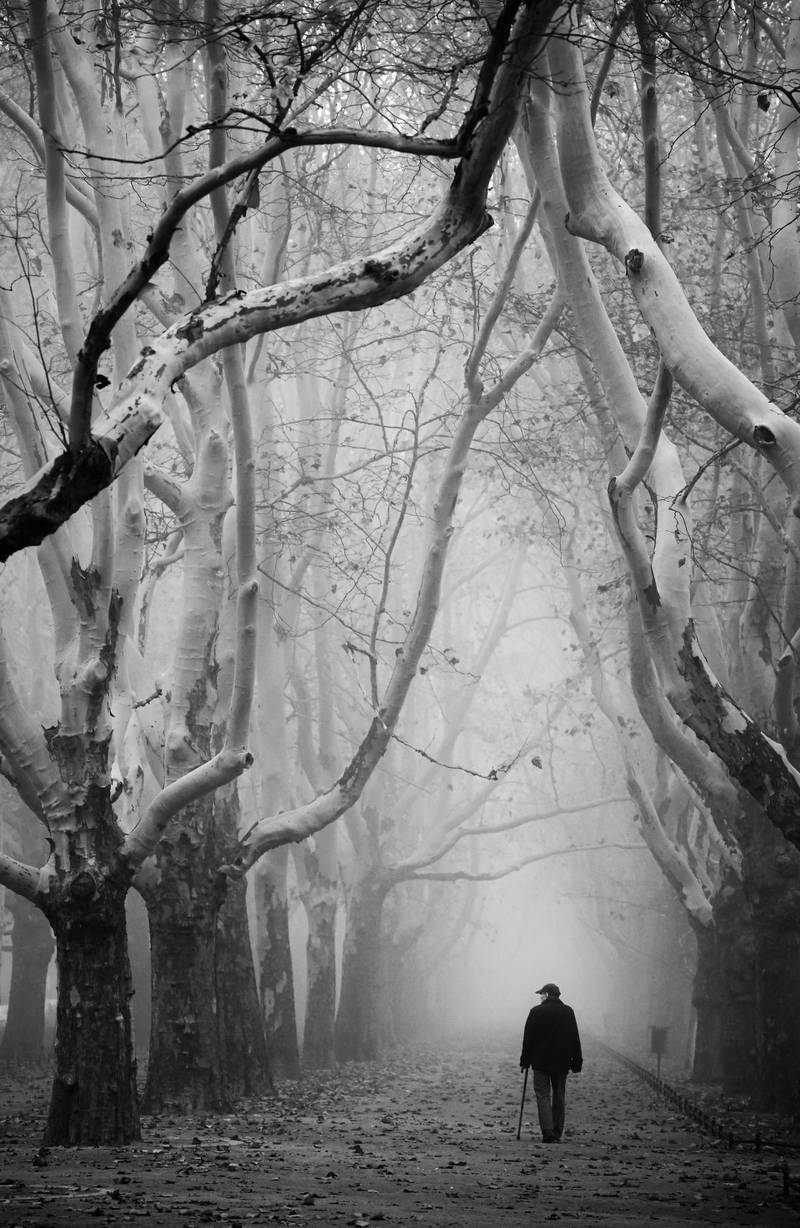 Second prize for the general category (black and white) is the eerie 'The Silent Witness' by Anna Niemeic, showing 200-year-old trees in the centre of Szczecin in Poland. Anna Niemeic