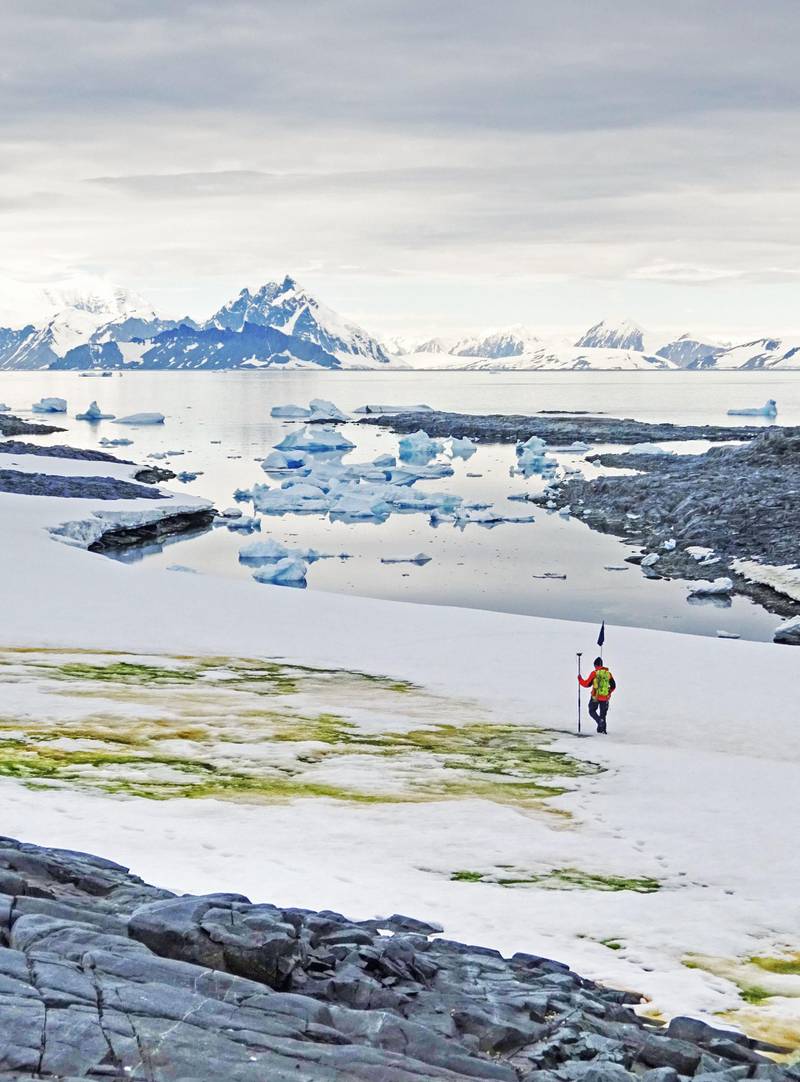 A handout picture taken in 2018 and released on May 19, 2020 by the University of Cambridge and Matthew Davey shows researcher Andrew Gray geo-tagging snow algae blooming on Anchorage Island, near Davis Station, Antarctica.  Parts of the Antarctic Peninsula will change colour as "green snow" caused by blooming algae is expected to spread as global temperatures increase, new research showed on May 19, 2020.  - RESTRICTED TO EDITORIAL USE - MANDATORY CREDIT "AFP PHOTO / MATTHEW DAVEY / UNIVERSITY OF CAMBRIDGE " - NO MARKETING - NO ADVERTISING CAMPAIGNS - DISTRIBUTED AS A SERVICE TO CLIENTS
 / AFP / University of Cambridge / University of Cambridge / Matthew Davey / RESTRICTED TO EDITORIAL USE - MANDATORY CREDIT "AFP PHOTO / MATTHEW DAVEY / UNIVERSITY OF CAMBRIDGE " - NO MARKETING - NO ADVERTISING CAMPAIGNS - DISTRIBUTED AS A SERVICE TO CLIENTS
