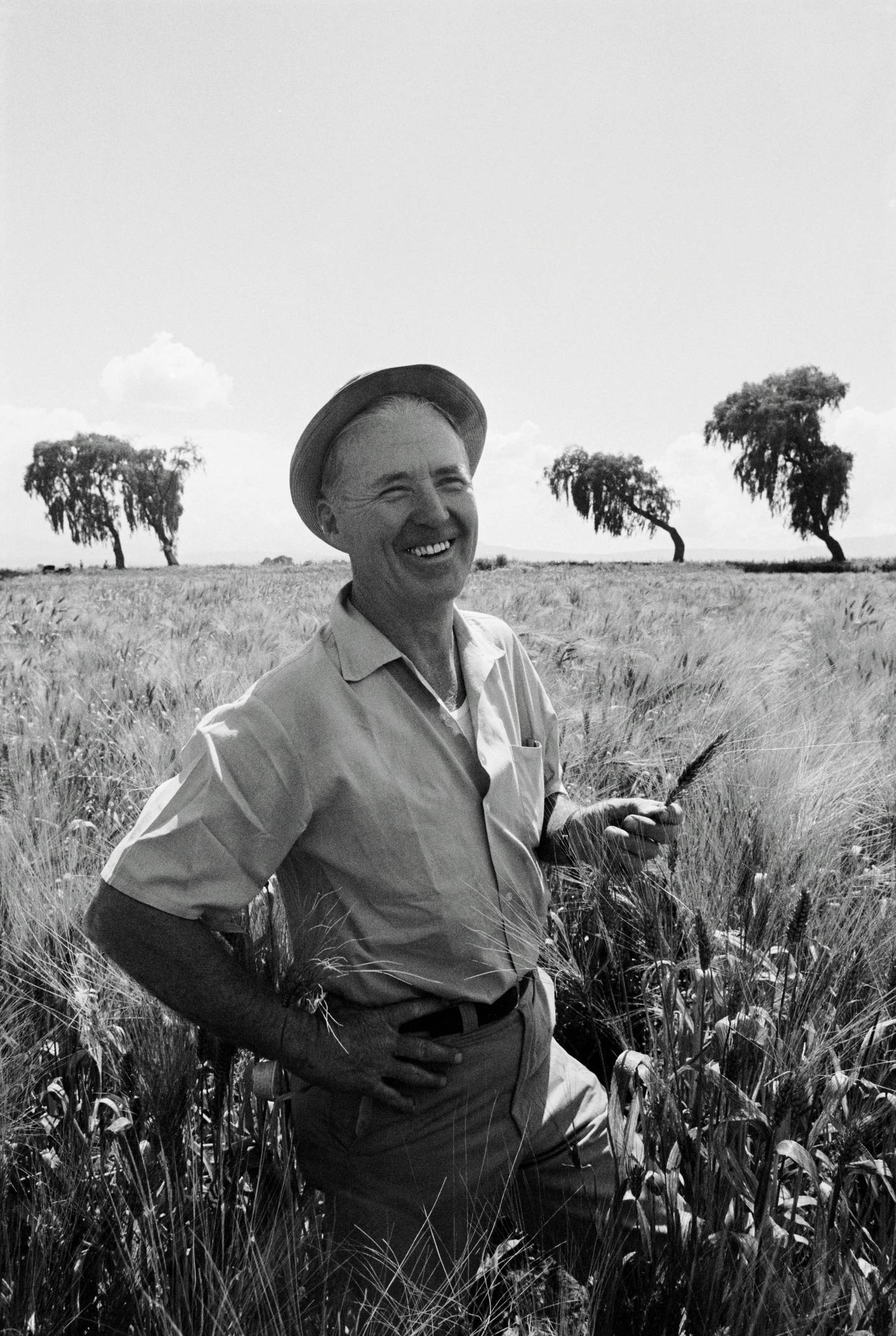Norman Borlaug, the late American agronomist, played a major role in India's 'Green Revolution'. Getty Images