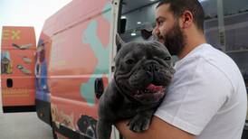 Saudi dogs pampered in mobile grooming service - in pictures