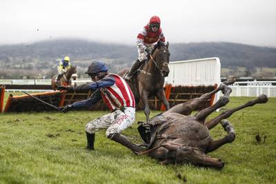 Nick Scholfield falls from De Rasher Counter at the last in The Ballymore Classic Novices Hurdle Race at Cheltenham racecourse in England. Alan Crowhurst / Getty Images