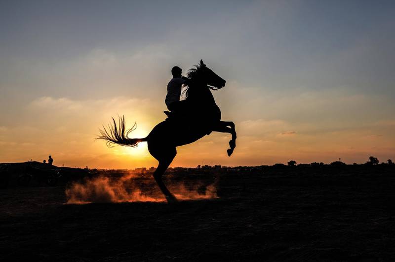 A Palestinian rides a horse during a race at sunset in eastern Rafah, southern Gaza Strip.  EPA