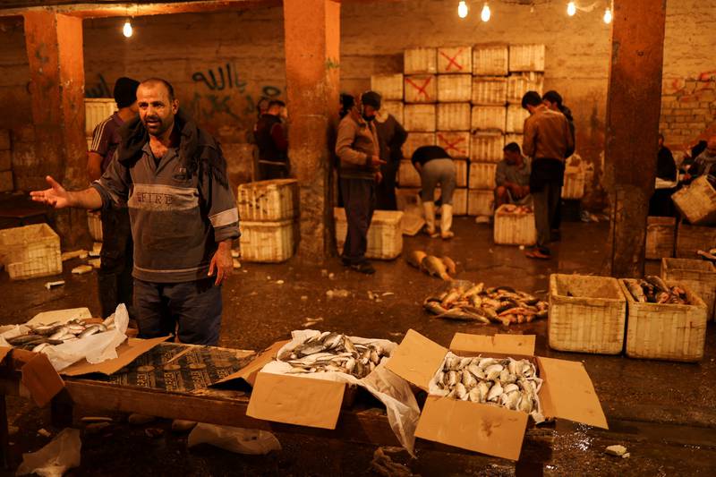 Iraqi fish vendors show their wares