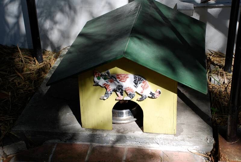A house for the six-toed cats in residence. Photo: Adam Fagen