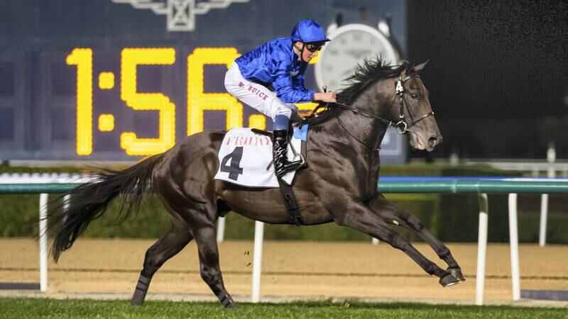 An image that illustrates this article Godolphin to send out 22 runners as Carnival continues at Meydan