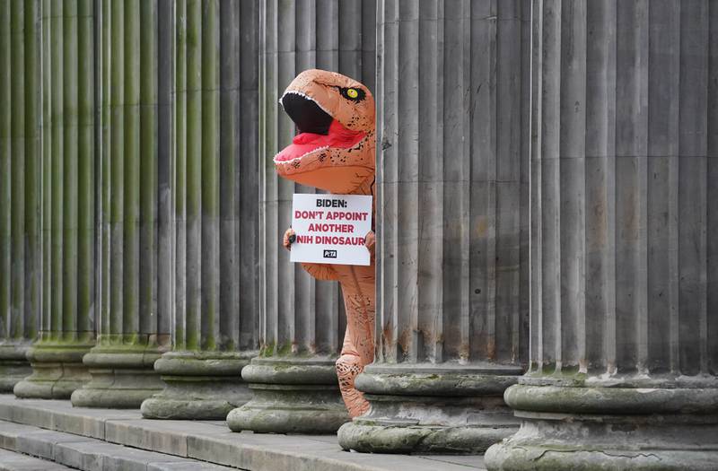 A protester dressed as a dinosaur roars outside the Gallery of Modern Art in Glasgow. PA