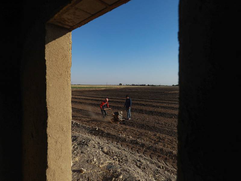 Syrian farmer Abdelbaqi Souleiman, right, works with a labourer plowing his land near Qamishli. Farmers in the Kurdish-held Hasakeh region have seen dismal wheat harvests this year, raising fears about food security.
