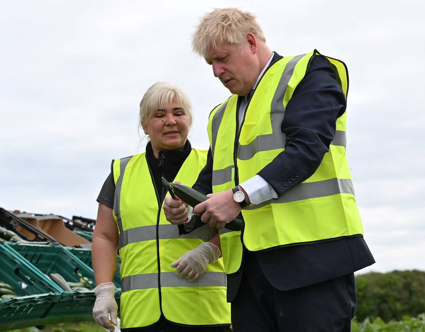Britain's Prime Minister Boris Johnson is shown by a picker how to 'top' a courgette with a knife as he picks vegetables during a visit to Southern England Farms Ltd in Cornwall on Monday. AFP