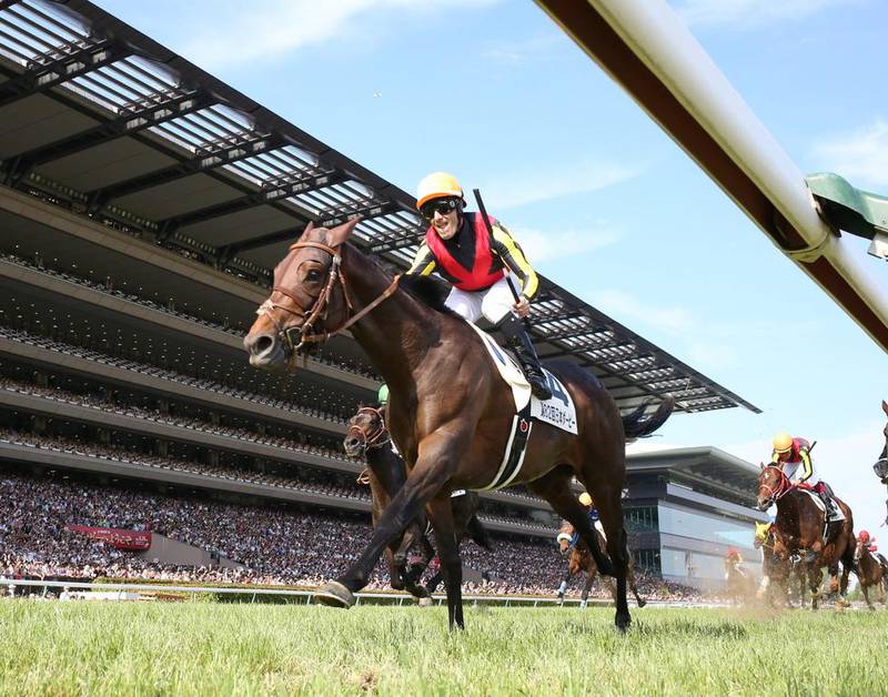 Last year Duramente posted wins in the Japanese Guineas and Derby, after which an attempt at the Prix de l’Arc de Triomphe was mooted. The Yomiuri Shimbun via AP Images 