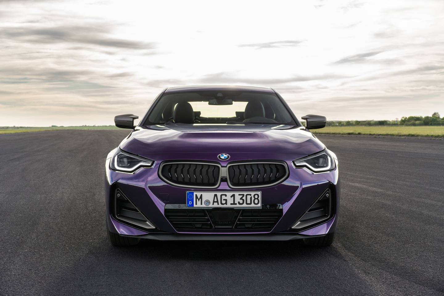 Departing from BMW's oversize grilles, the newcomer has a minuscule pair of nostrils, flanked by slit-like eyes.