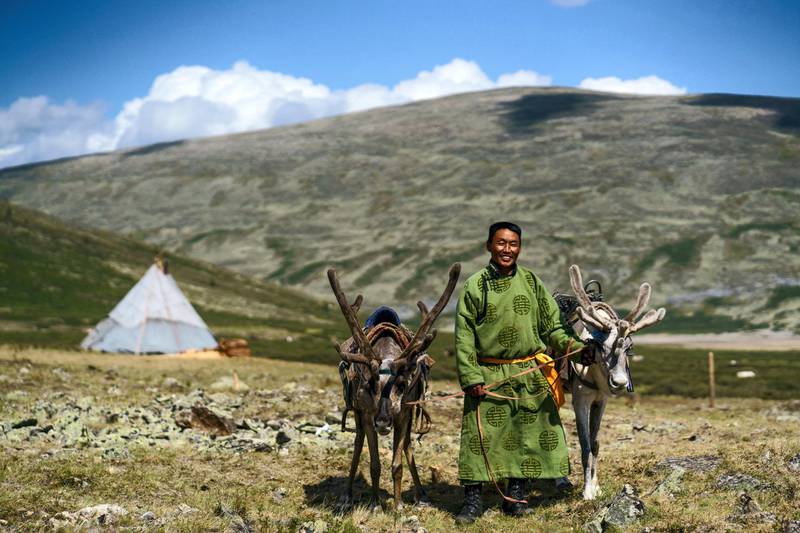 Over the last two decades, indigenous tribes in Mongolia have changed their livelihoods to focus on the country’s rapidly evolving tourism industry, which has halted overnight. Courtesy Frank Schieweck / Adiyabold Namkhai