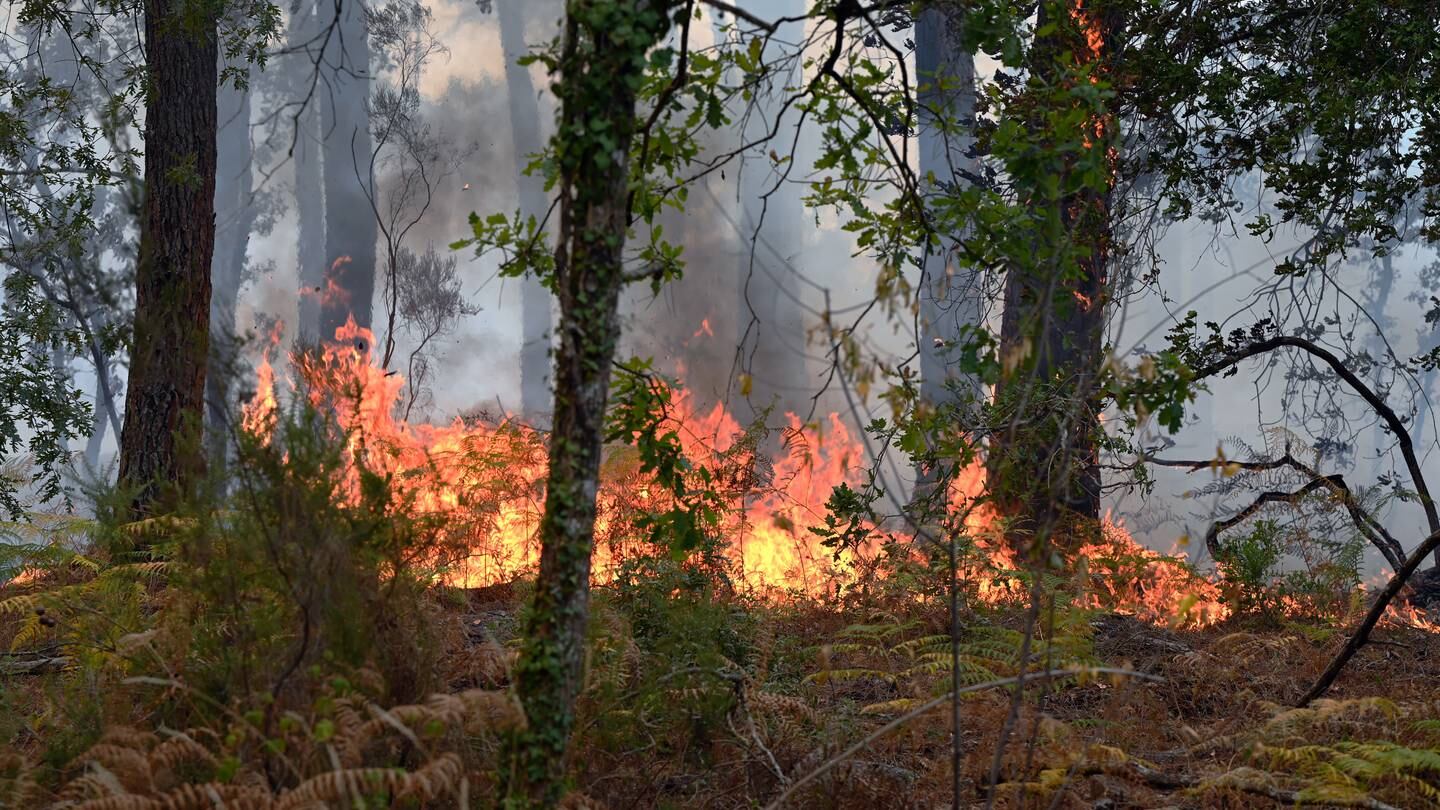 „Monster“-Waldbrände brechen in Europa aus, als die Schweiz Alpenbauern mit Wasser versorgt