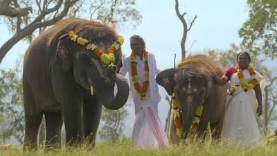 Bomman and Bellie feature in the 41-minute documentary set in Mudumalai National Park in Tamil Nadu. Photo: Sikhya Entertainment