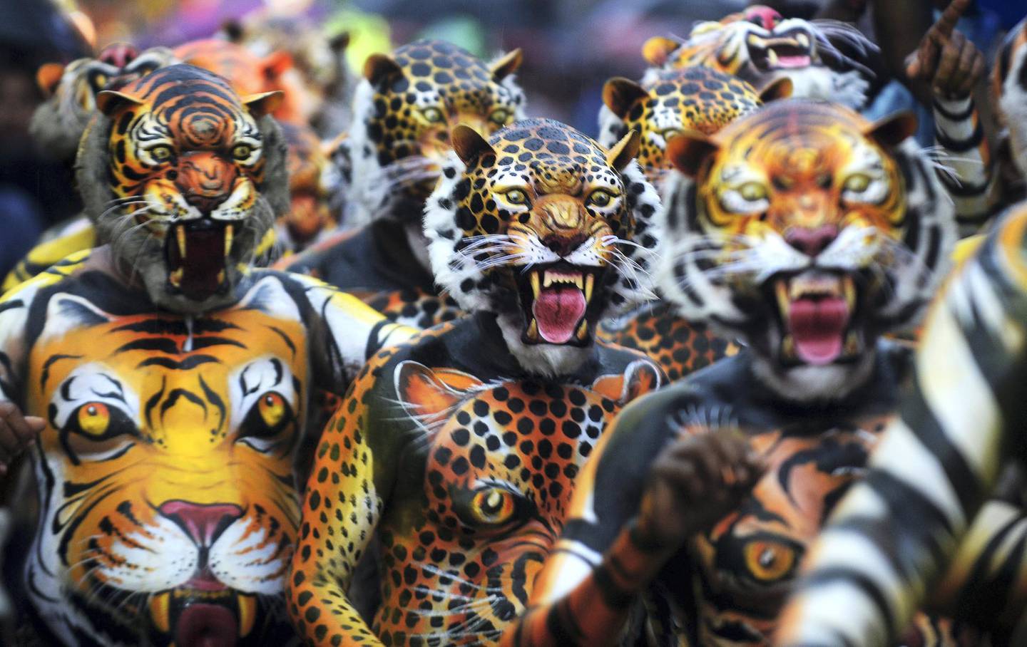 Indian performers painted as tigers take part in the 'Pulikali', or Tiger dance, in Thrissur on September 7, 2017. - The folk-art event is held every year in the town during the 'Onam' festival. (Photo by ARUN SANKAR / AFP) / “The erroneous mention[s] appearing in the metadata of this photo by ARUN SANKAR has been modified in AFP systems in the following manner: [September 7, 2017] instead of [September 17, 2016]. Please immediately remove the erroneous mention[s] from all your online services and delete it (them) from your servers. If you have been authorized by AFP to distribute it (them) to third parties, please ensure that the same actions are carried out by them. Failure to promptly comply with these instructions will entail liability on your part for any continued or post notification usage. Therefore we thank you very much for all your attention and prompt action. We are sorry for the inconvenience this notification may cause and remain at your disposal for any further information you may require.”