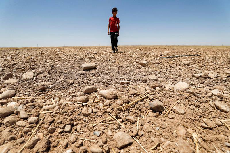 A boy walks through a parched field in the Saadiya area, north of Diyala, in eastern Iraq.  Photo: AFP