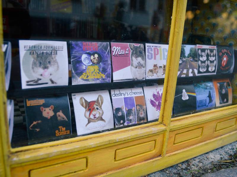 The records on display at the miniature records shop by Anonymouse. Courtesy Anonymouse MMX