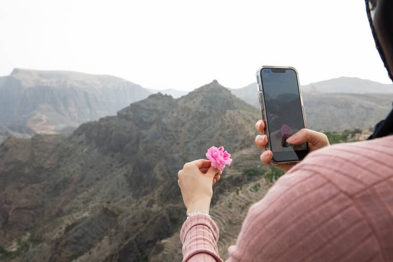 A tourist from Muscat holds up a rose against the mountain range for an Instagram picture.
