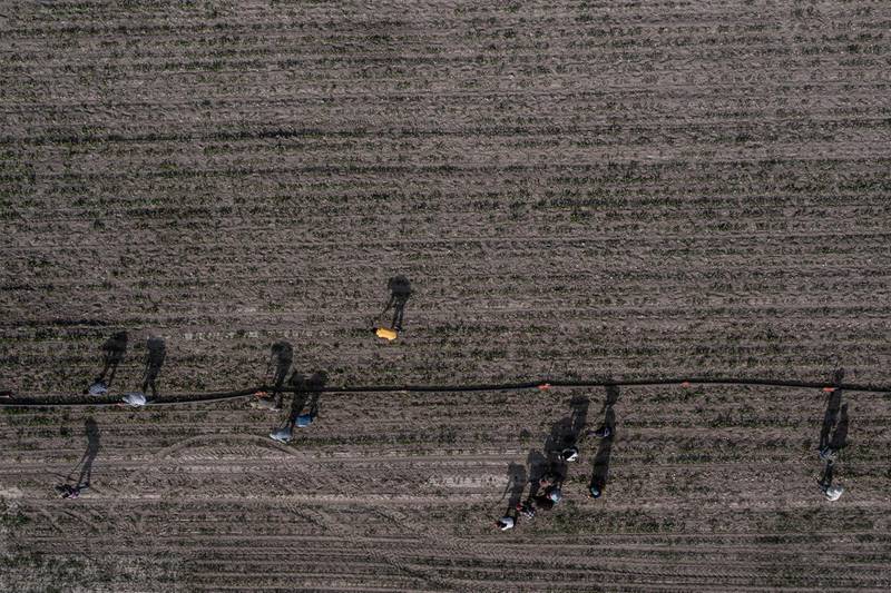 Farm workers tend sugar beet in parched field fields. As underground water levels fall, this creates cavities into which surface material collapses, creating hundreds of sinkholes around Karapinar.