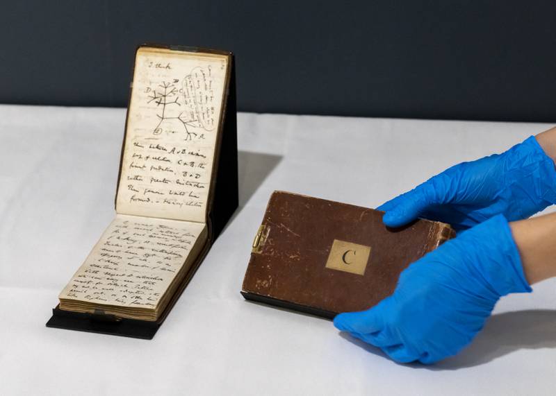 The two Charles Darwin manuscripts had been discovered to be missing in 2001. PA