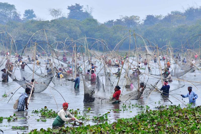 Villagers take part in a community fishing event during 'Bhogali Bihu' harvest celebrations at Goroimari Lake, in India's Assam state. AFP
