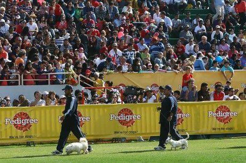 Participants during the Pet Show at the Rugby Sevens Grounds in Dubai.