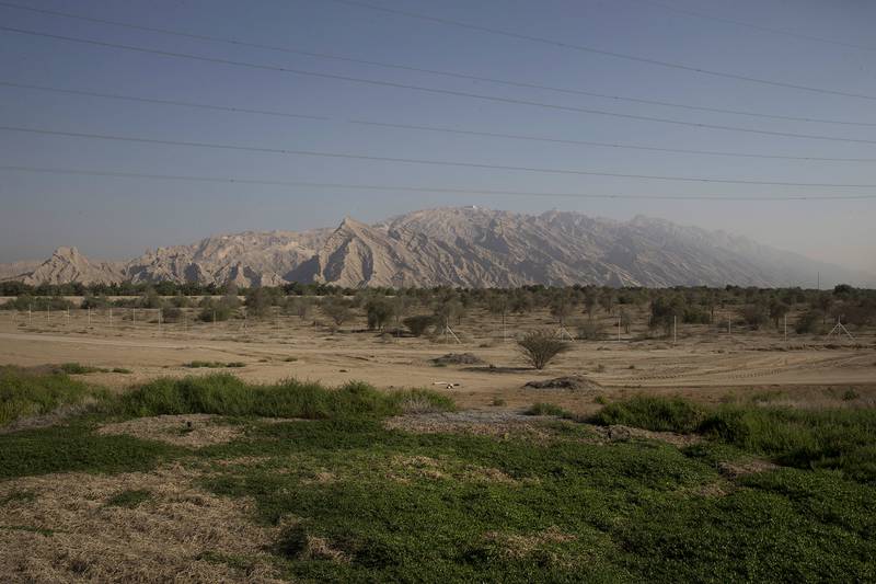 AL Hayer, UNITED ARAB EMIRATES, Dec. 29, 2014:  
A view of the Jebel Hafeet (1,249 m) (4,098 ft) mountain on the outskirts of Al Ain at the UAE-Oman border. Jebel Hafeet is one of the UAE's tallest mountains and a very popular attraction for tourists and locals alike. (Silvia Razgova / The National)  /  Usage:  undated  /  Section: AL   /  Reporter:  standalone *** Local Caption ***  SR-141229-jebelhafeet02.jpg