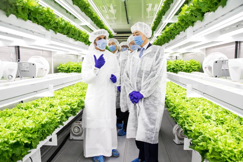 UAE’s Newest Vertical Farm, Smart Acres, Successfully Launches, Propelling the UAE’s Agricultural Development