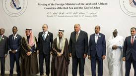 Red Sea and Gulf of Aden border countries form council
